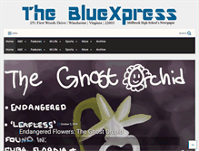 Tablet Screenshot of bluexpress.net